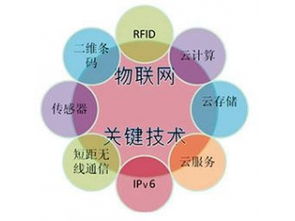 賽億科技 驅(qū)動萬物互聯(lián)，網(wǎng)絡(luò)技術(shù)賦能智慧未來