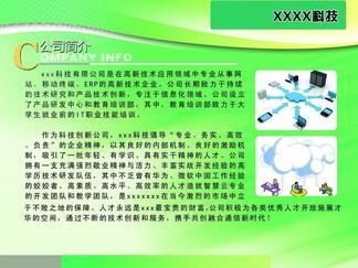 引領創新，驅動未來 XX網絡技術開發公司簡介